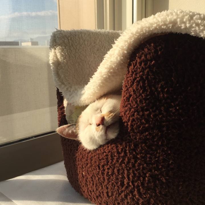 09b9204b 0c4a 4b25 891a e52f05823fcf 1508592464160