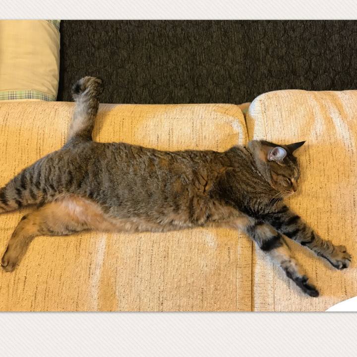 09b953e8 cdcf 4363 afda 701ceba7460d 1532593970484