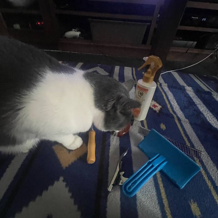 09b98537 17f2 4ad8 ba2f 14192bd6048f 1679801476706