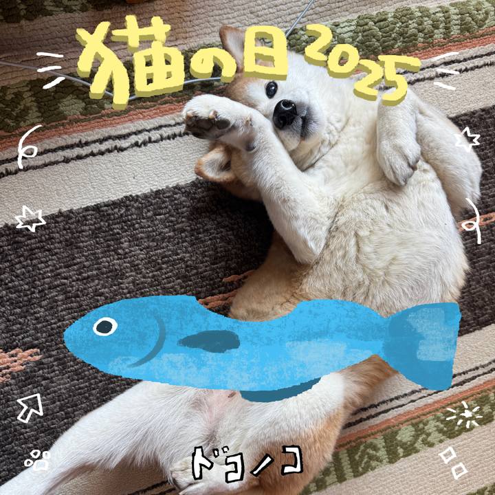 09b9b4cc 9a4e 4522 9fd4 39c4f0b74b13 1740222910526