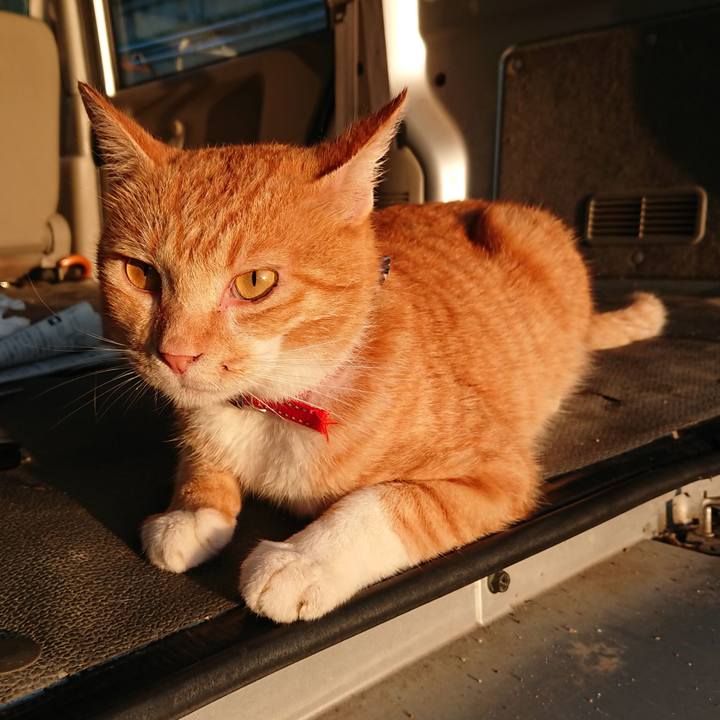 09b9c278 ef83 40c1 94e8 a78af7009229 1568667880656