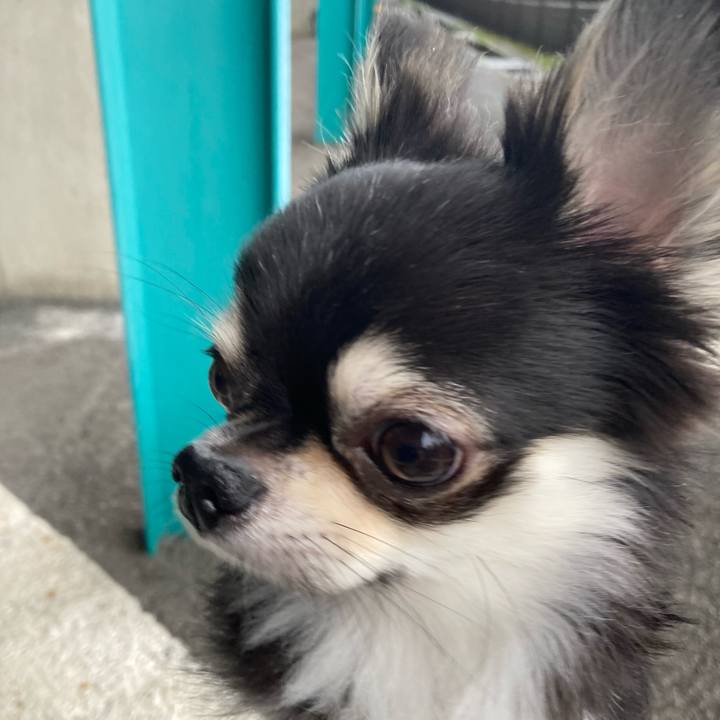 09b9c682 1e19 46da 913d 21d9839bf5b2 1619703123123