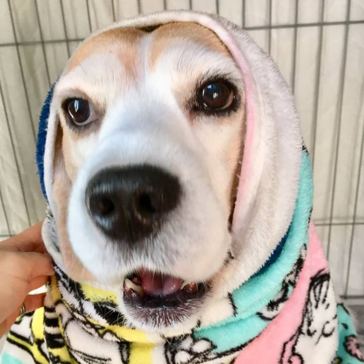 09b9d086 a506 47bf bebc 68ed629deb47 1548828537784