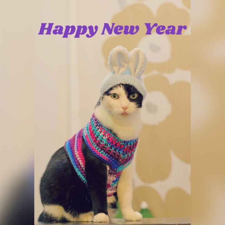 09ba49f5 0439 473a a897 a86ffabe7dcc 1672532278116