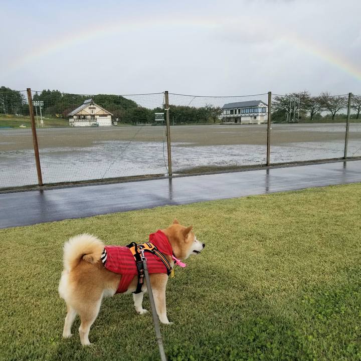 09ba5c31 7b48 45dc a69e 0ecb952649c0 1634707508255