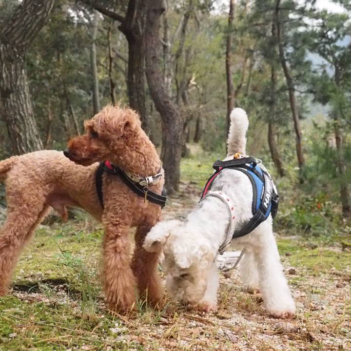 09ba6322 aef4 4414 b331 14be7646e423 1571663986134