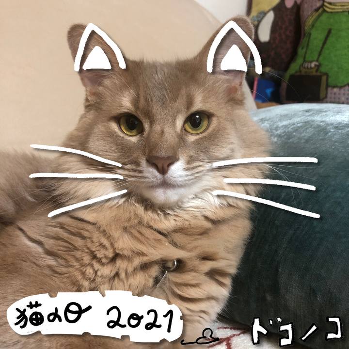 09ba662e d70e 43b0 bf85 b7d05043ed17 1613991343916