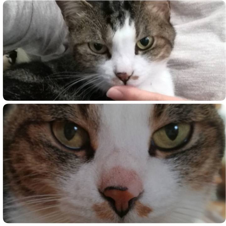 09baba89 a7bd 465e 8a0f e16e39af85c0 1561077035631