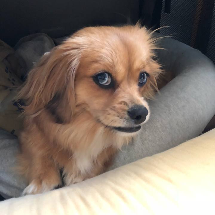 09bafa58 b2a7 48ec ab2e 342a28116cd1 1524692187083