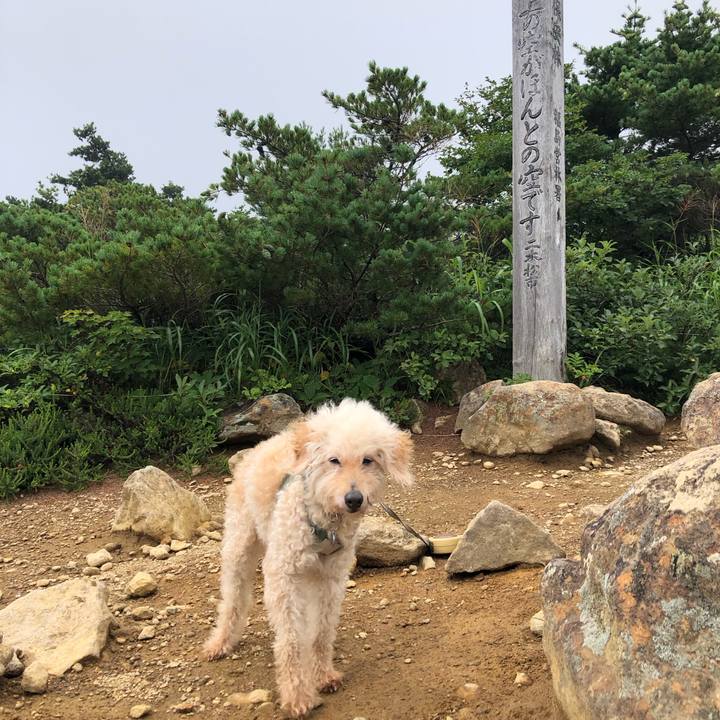 09bb129b 7d32 48a4 80cc a3604fdc6a88 1723363344952