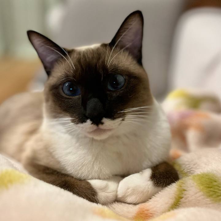 09bb4069 5fce 438f 9e18 78439920e462 1732101109682