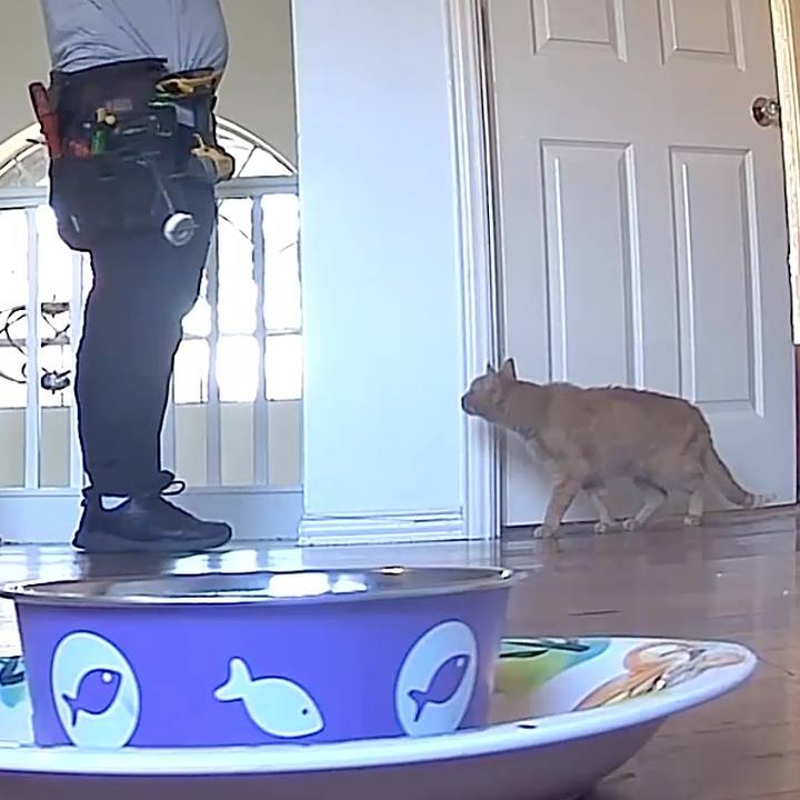 09bb61c0 004a 44c3 b67b 783ff424789e 1769555564485