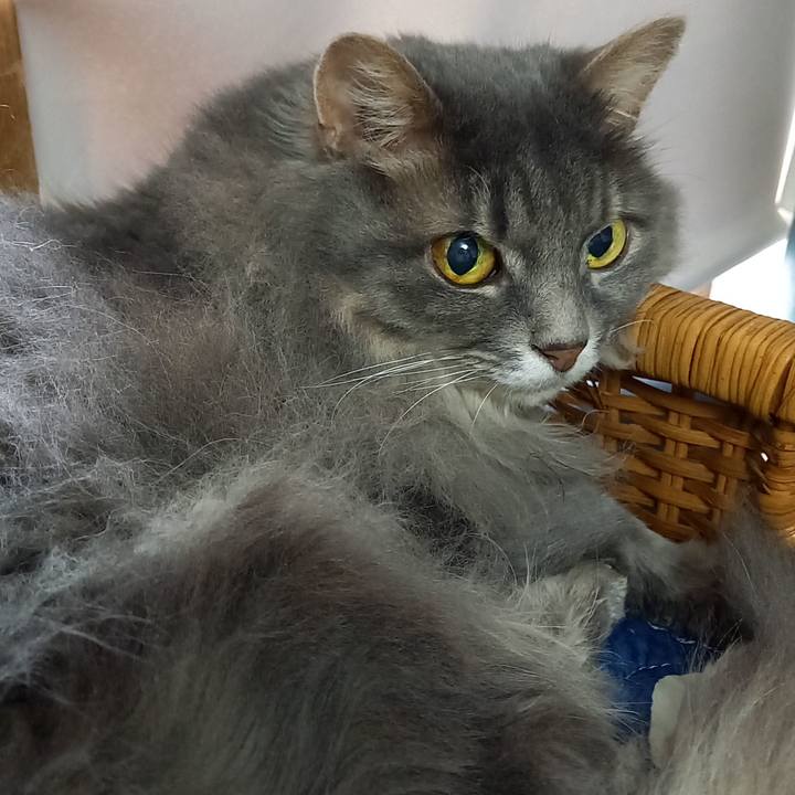 09bb74ea 3346 4e79 a7f5 bce4cf4369ea 1629618830806