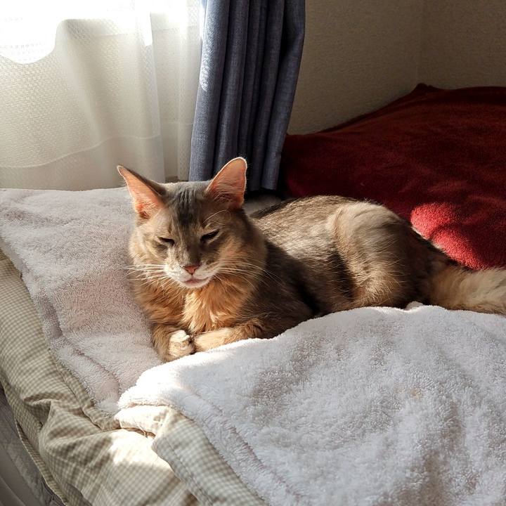 09bbbbc6 c0ad 4886 b619 913bcf706fb0 1698984461308