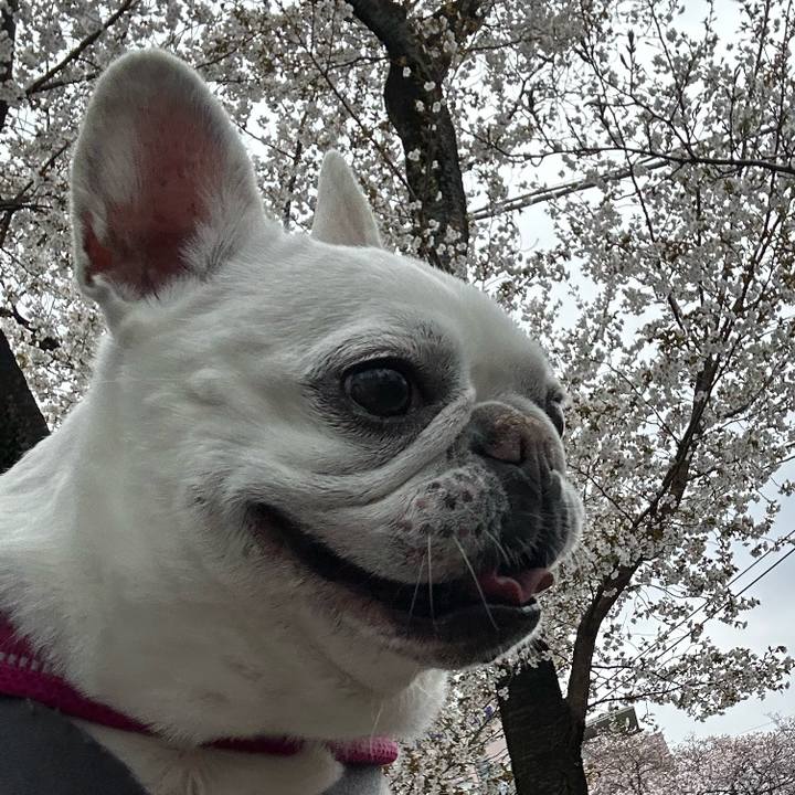 09bbec08 b64f 40c3 a9d6 94ccfdf38189 1712389440165