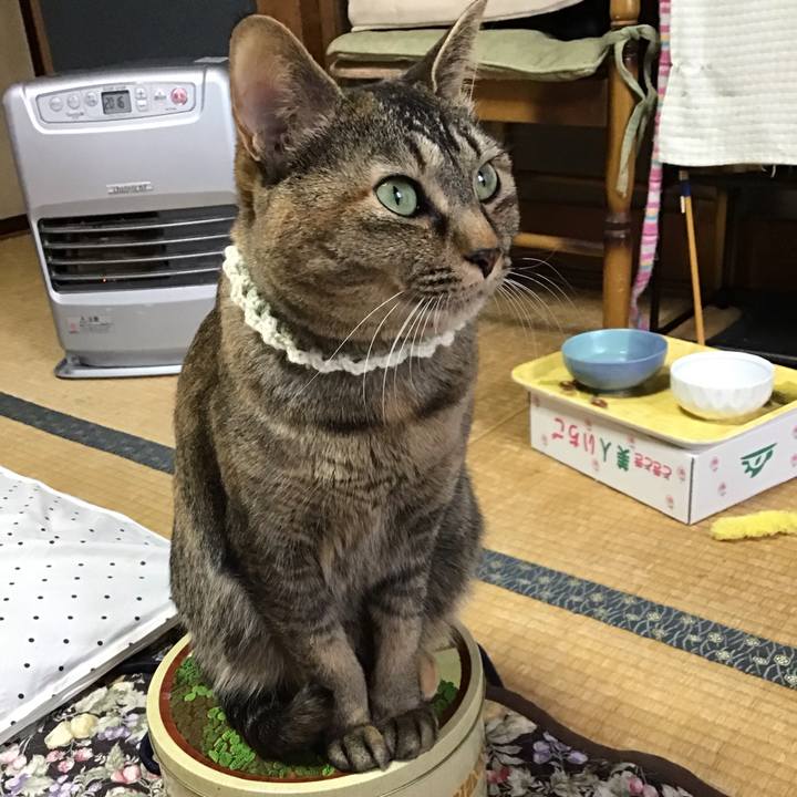 09bbf2fb af36 4954 a12a b1fd813c7ee3 1646348302290