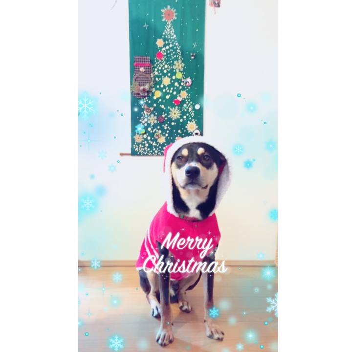 09bc0173 bb5b 4736 bd09 c166e709c906 1545752662785