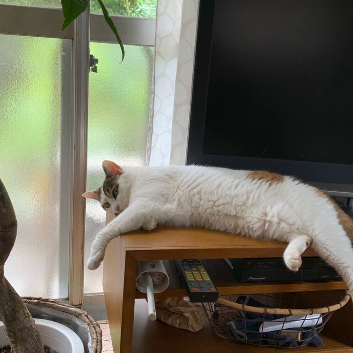 09bc370b 8793 4f1e 9c8a cc0e5dd0ffb5 1660295826771