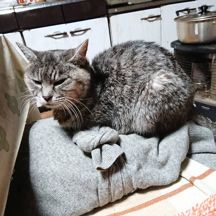 09bcc792 a5d1 4b39 88fc 33d426c4ae14 1578081138767