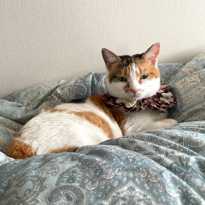 09bcf9b4 2373 4b2f 8a4f 5cb7a6ac777b 1756162650079