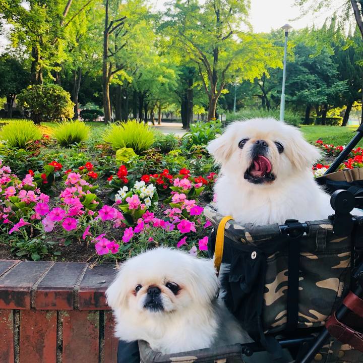 09bcfaa0 f31f 4ca8 b162 ad557cff40eb 1623109381259