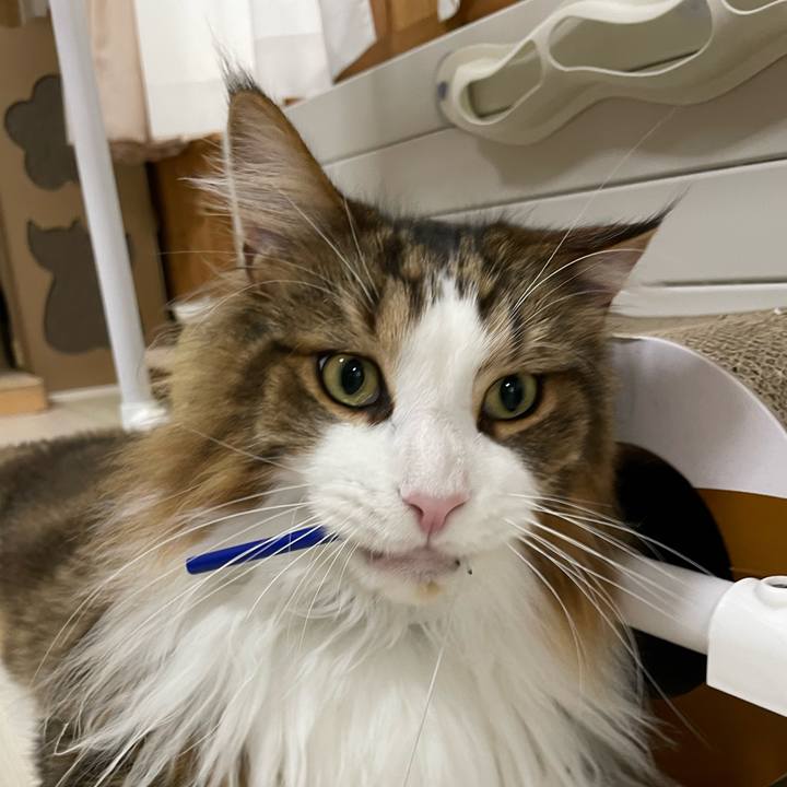 09bd0996 4b0d 4104 9920 5953acff6e71 1691871050413