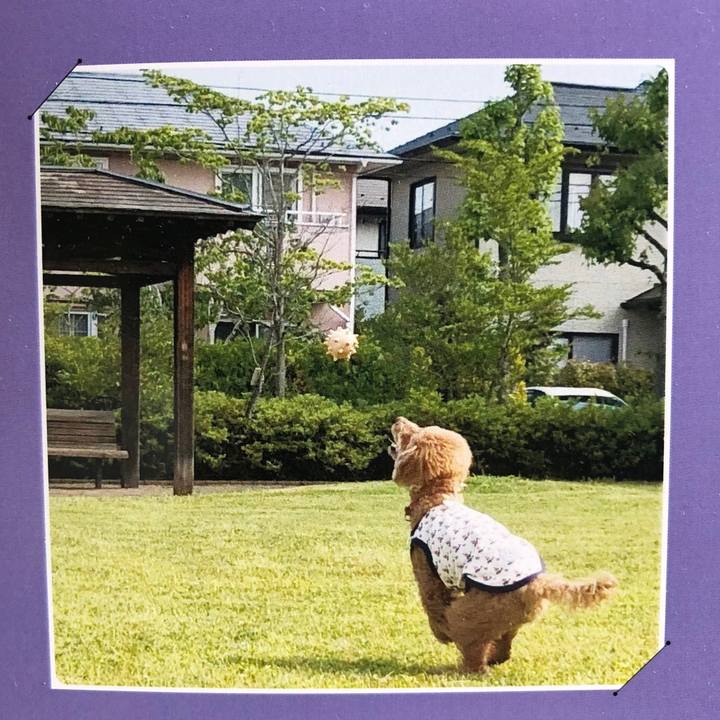 09bd0b2f f43d 49fb a467 f34f5b071e65 1591067817368