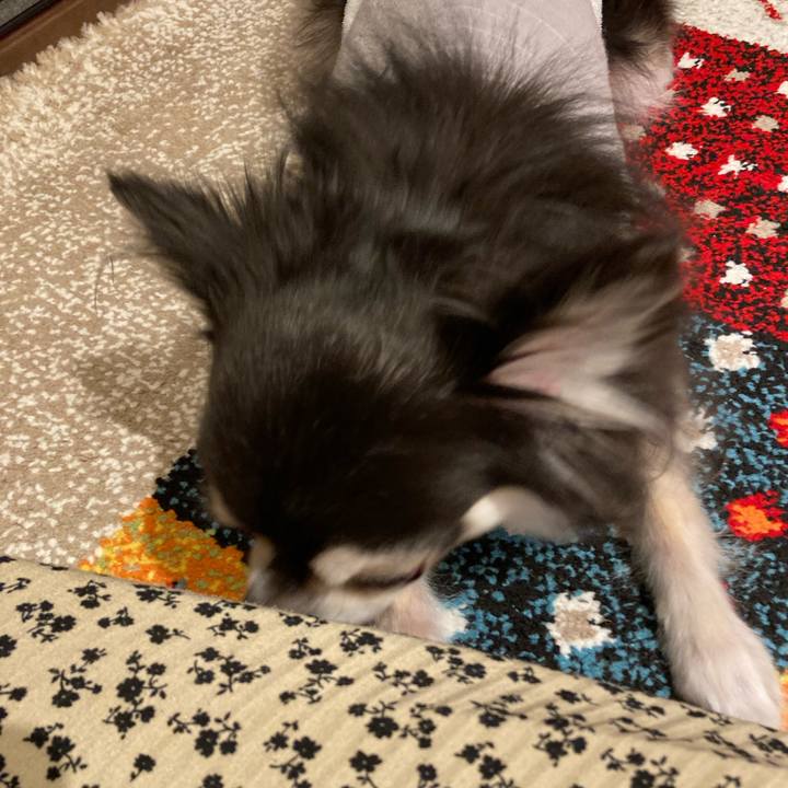 09bd0fc4 95e8 465c 9354 5332099d4b4c 1715513612235