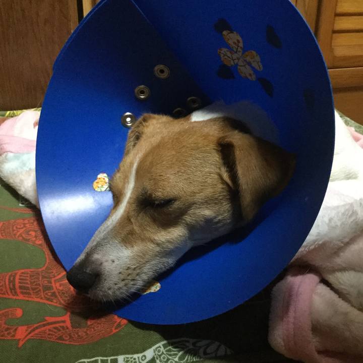 09bd8bdf 65c9 4028 98bf 9acce81e73a5 1537095056590