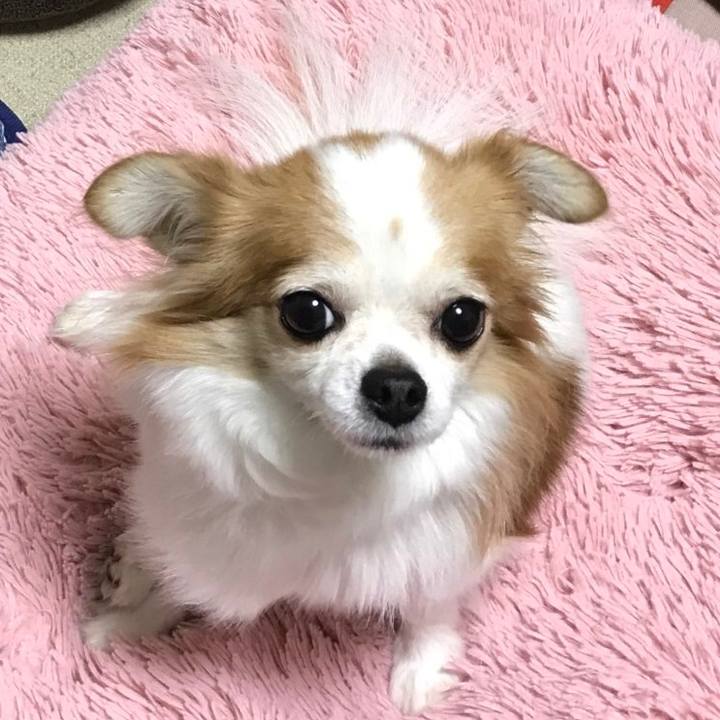 09bd9853 9605 480f 8d21 d521a661f21a 1569656018600