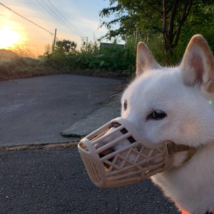 09be39bf 97b0 4b16 9000 86620c2e930a 1625862779021