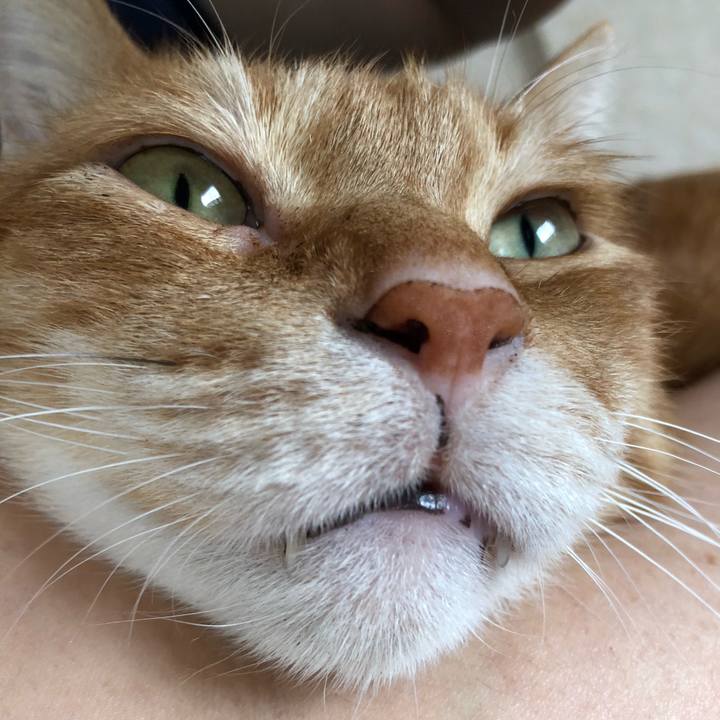 09be53ec ad1e 4ada b6d5 7d868d0dffec 1637373553064