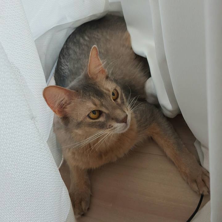 09be69fe fb42 49e4 918e a1e0538bca7a 1533476266309