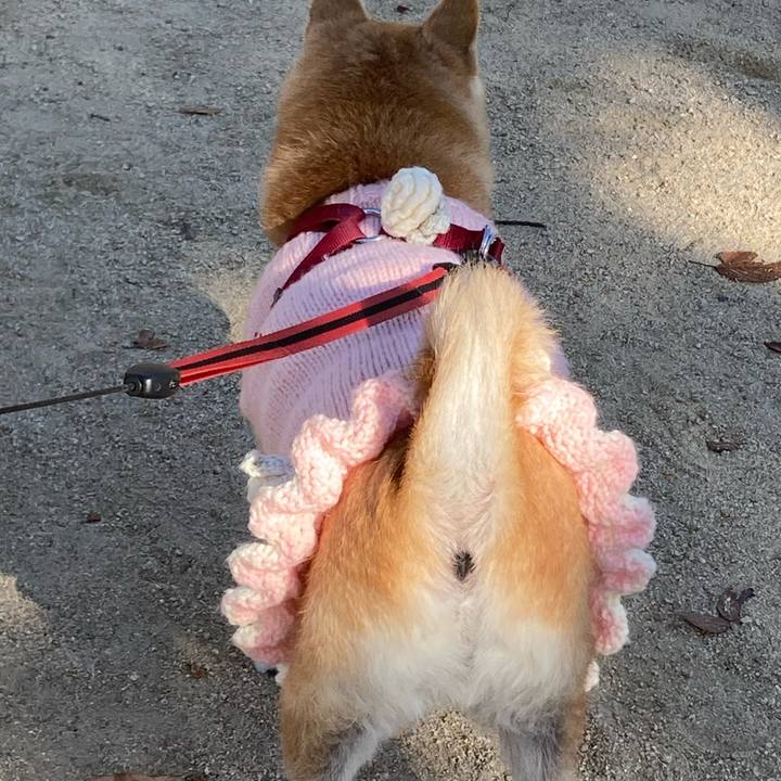 09be7fd3 6228 4401 8ede 929babb45bd1 1639579314050