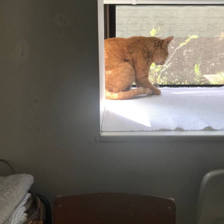 09be8a65 6e3a 4a6d 81d8 6c035b6a921f 1559188477865