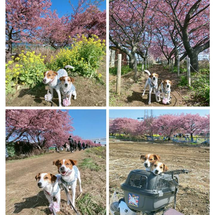 09be8b06 9fec 4502 a9f3 88312bade3e2 1772353405264