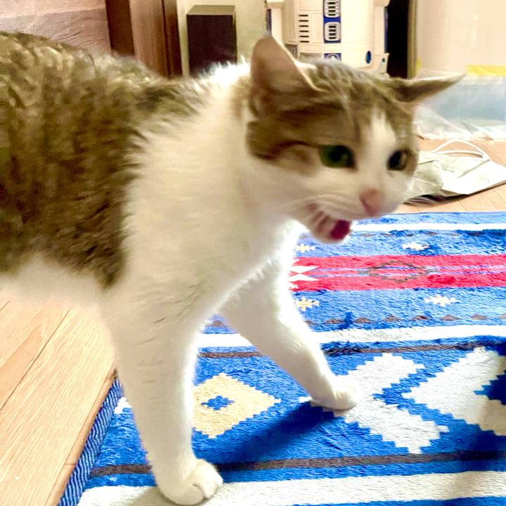 09be8d61 d6a6 45b1 b579 179c04809b3c 1628379031192