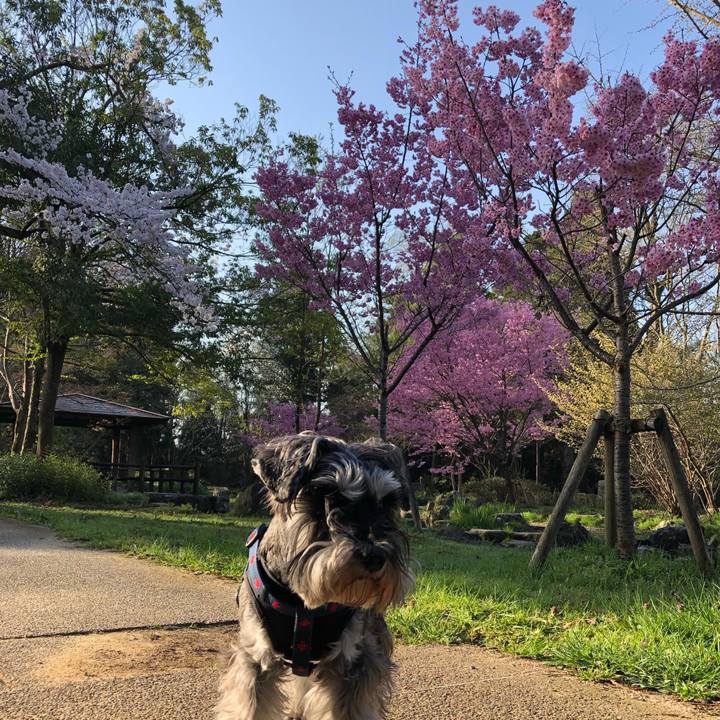 09bed7fe 8c9c 45e3 a70a 51c240f9b004 1617414974032