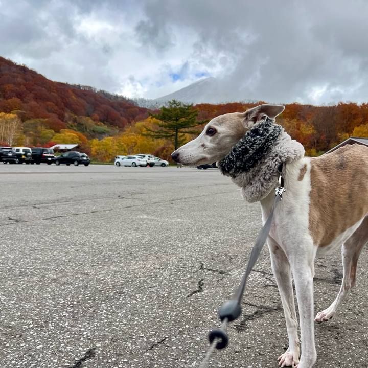 09bef823 489b 471b 9d01 bf256e628767 1761207848286