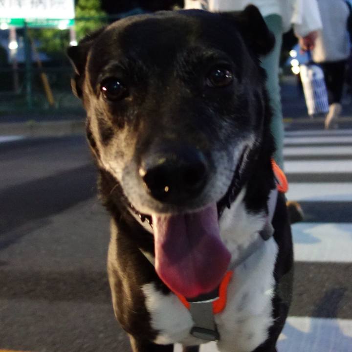 09bf1713 3732 46b6 a396 03f3260b8eb6 1744974446344