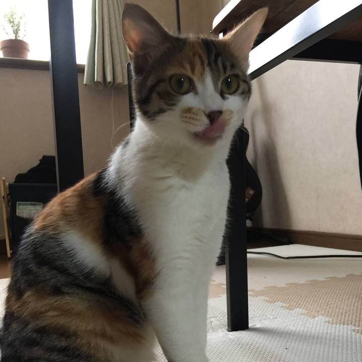 09bf232a f784 46ab bdd7 662f3cbba07d 1641913140325