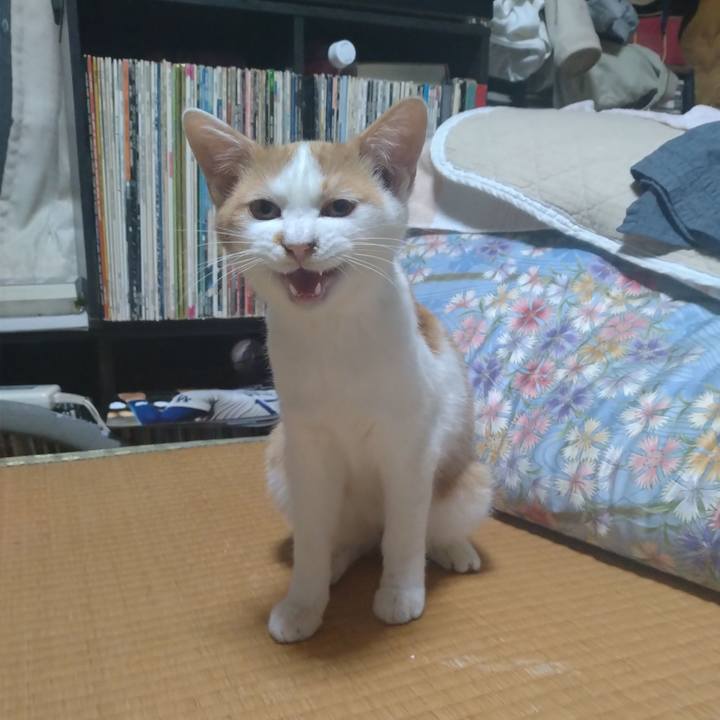 09bf7f98 0cec 41ea abc0 f8156bae87a9 1732009082266