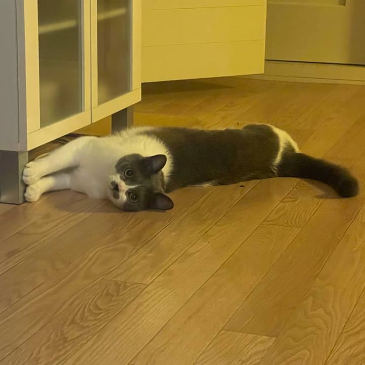 09bf9b2c bc2f 4ae2 ba47 e1baa1729f3c 1652009064317