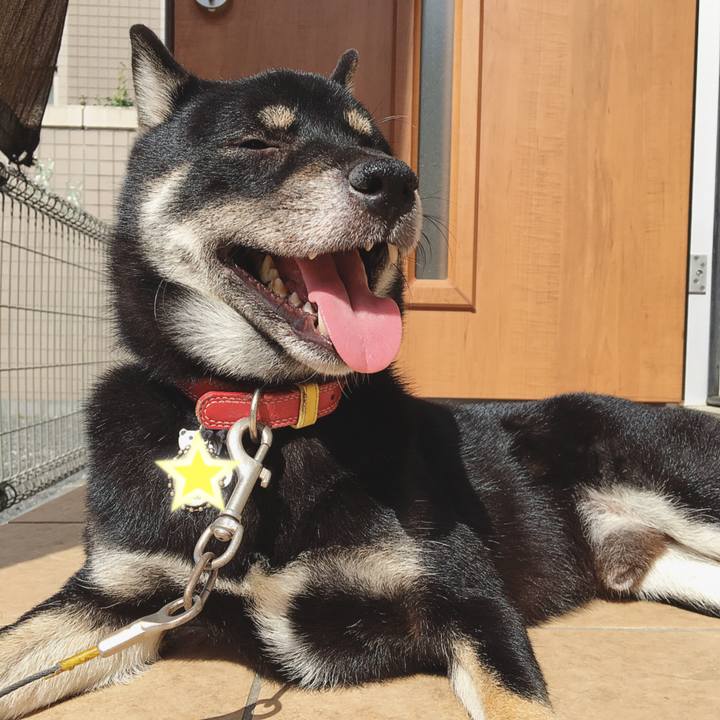 09bfa059 17a8 4d18 9661 bd15c47ef06b 1539942508301