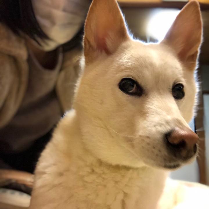 09bfc6f2 430d 45e9 930a 93189bc889f8 1674552502363