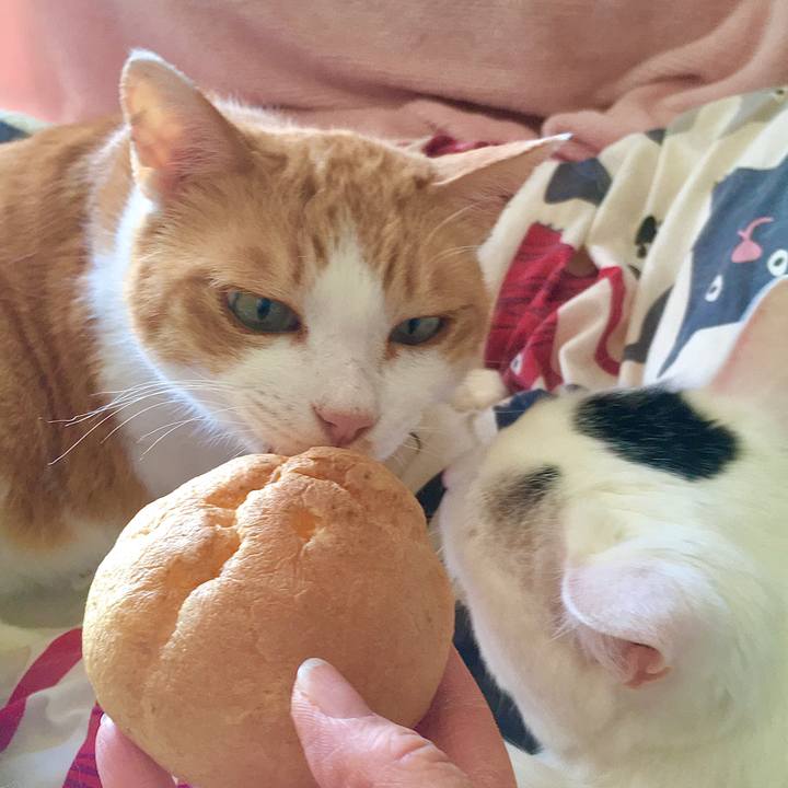 09bfda4e 9682 453b adcc 9032a6d0a730 1589023096529