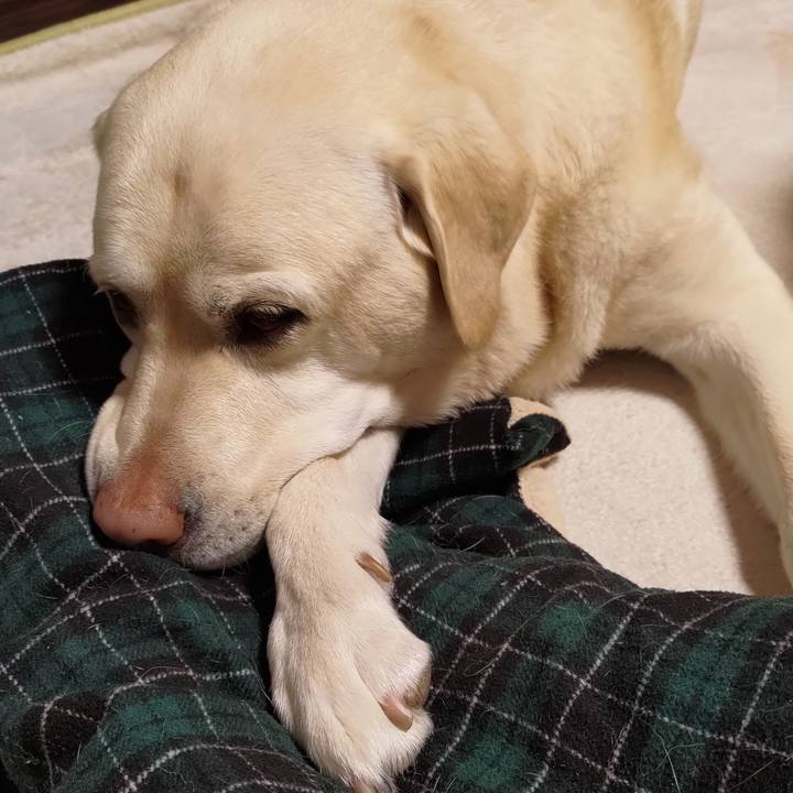 09bfef09 e9a3 4398 93a7 6e6a7608f512 1675956795939