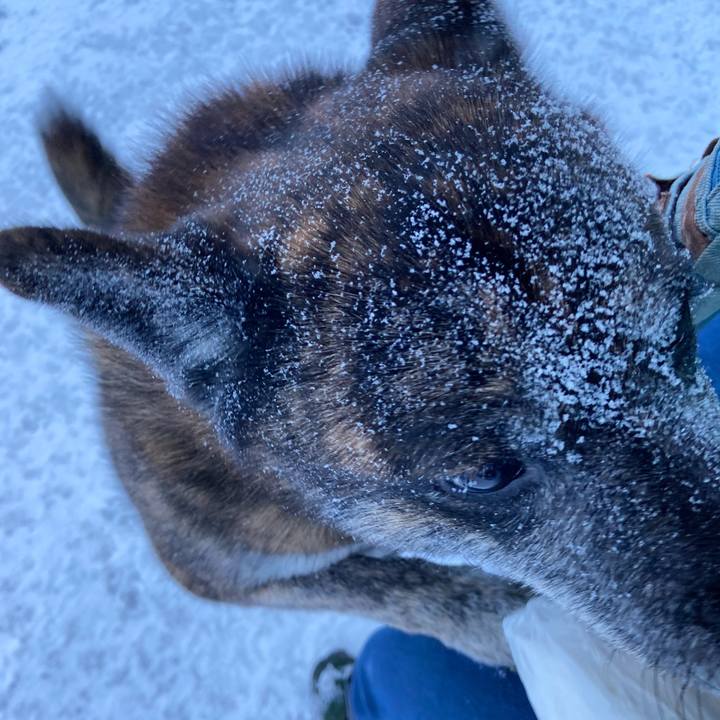 09bffef1 8826 467e 9cff 5530f339b9d9 1609370011435