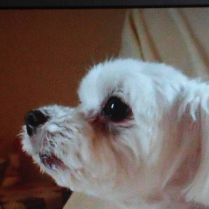 09c00696 3260 4910 89b3 0a62b7856321 1567310352175