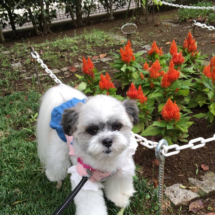 09c02099 7165 4233 abae 4a85cbbb8c18 1538265431792